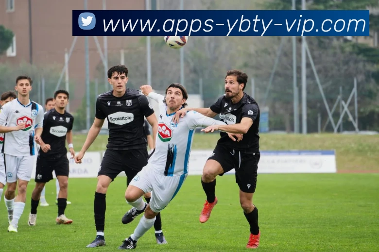 App Interface Preview