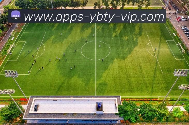 友博体育APP 封面图